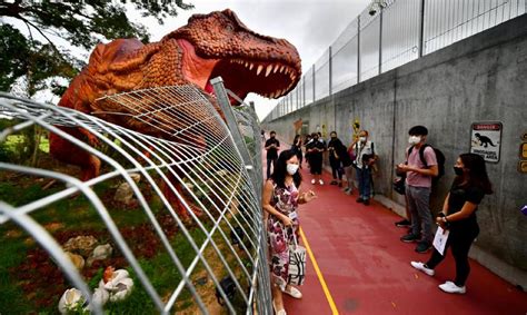 They will consolidate your package into a container with several other shipments. Catch life-sized dinosaurs along new cycling track from ...