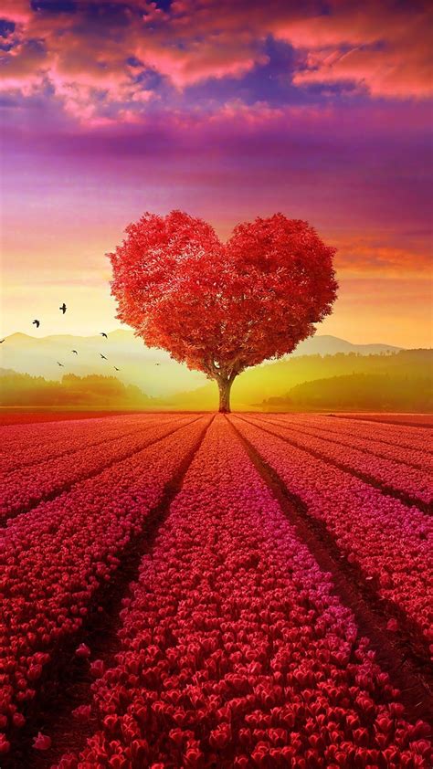 Heart Tree Field 4k Beautiful Landscape Wallpaper Love Animation