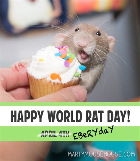 World Rat Day Marty Mouse House