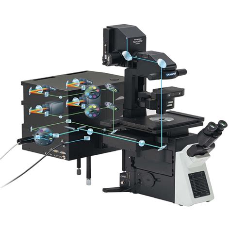 Confocal Laser Scanning Microscopy Eisenberg Bros Ltd