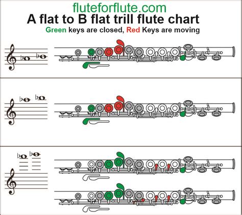 A Flat To B Flat Trill On Flute Low And High Trill Fingering