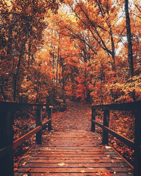 Late Autumn Strolls Regram Via Jayeffex Dslr Background Images