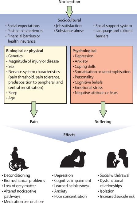 Chronic Pain An Update On Burden Best Practices And New Advances The Lancet