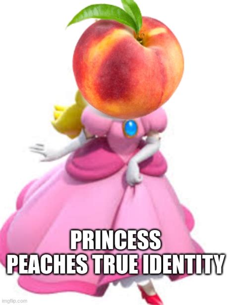zero suit peach princess samus zero suit know your meme