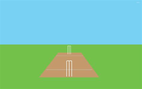 Cricket Ground Pitch Vector 2560x1600 Wallpaper