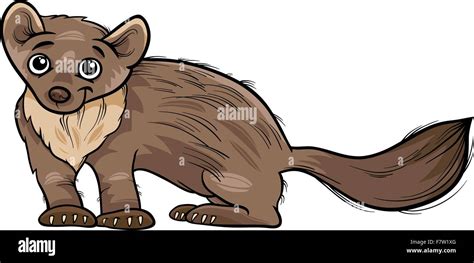 Marten Animal Cartoon Illustration Stock Vector Image And Art Alamy
