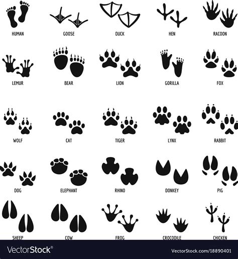 Animal Footprint Icons Set Simple Style Royalty Free Vector