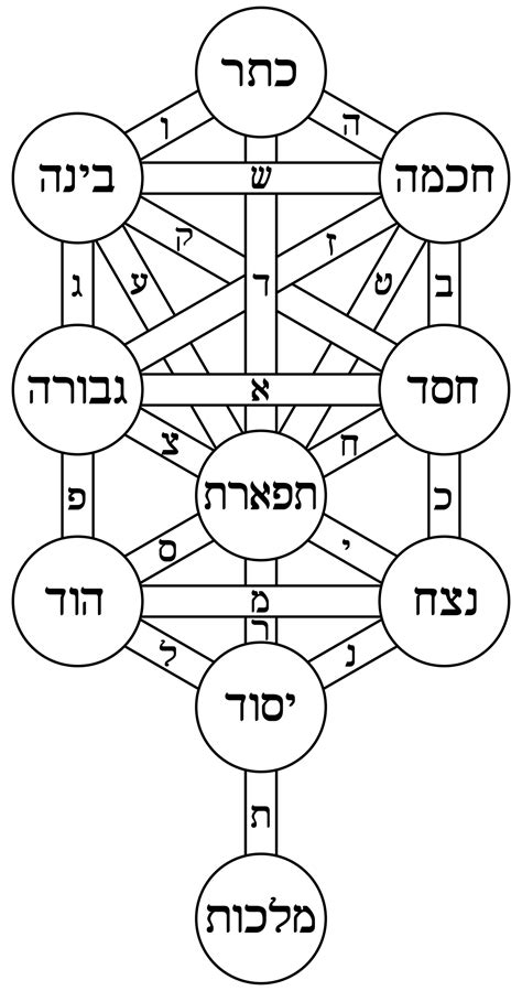 A study of the tree of life as both a magical study of the tol and adam kadmon, but also as a means to raise funds for his local lodge (dove and serpent, atlanta). Tree of life (Kabbalah) - Wikipedia