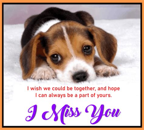 I Wish We Could Be Together Free Miss You Ecards Greeting Cards 123