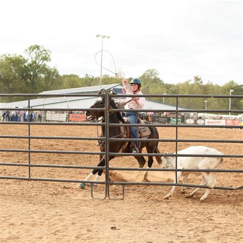 State Fair Part 1 Rodeos And Cowboys A Farm Girls Life