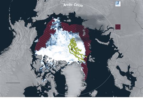 The Biggest Arctic Expedition Ever Will Spend A Year In Sea Ice