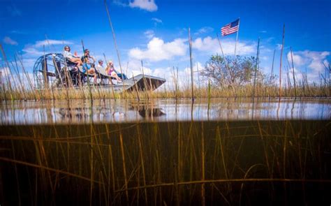 15 Best Everglades Airboat Tours The Crazy Tourist
