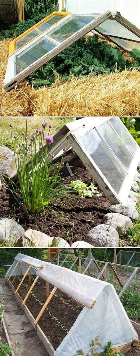 Top 10 Cold Frame Tips For Fall And Winter Veggies Gardening Cold