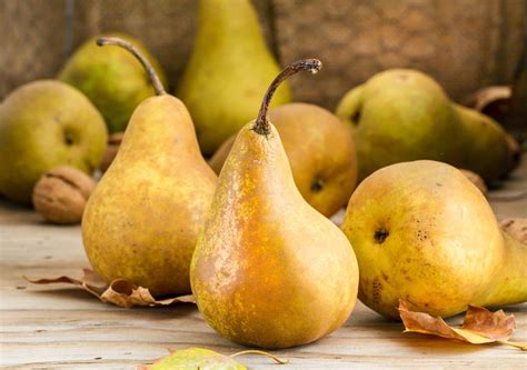 Wsmagnet Blog Pears At Home Featured September 16 2016
