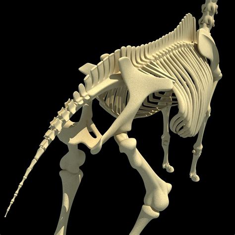 Horse Skeleton 3d Model 3d Horse
