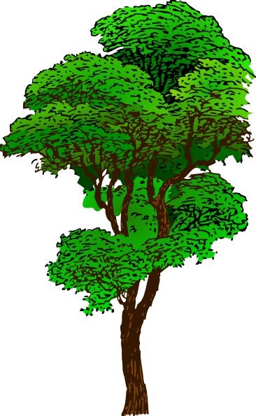 Tree Clip Art At Vector Clip Art Online Royalty Free