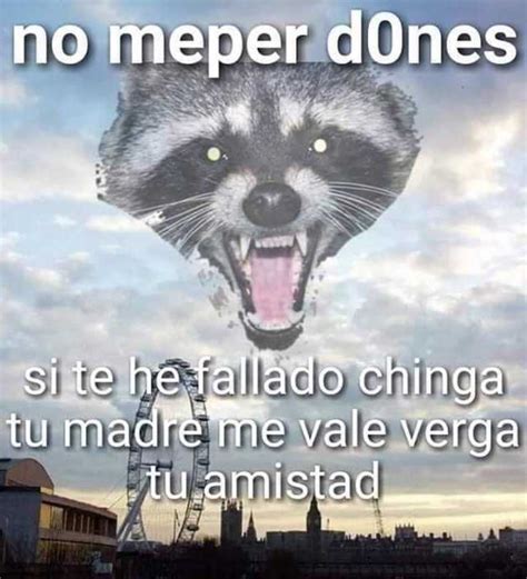 No Meper Dones Si Te He Fallado Chinga Tu Madre Me Vale Verga Tu