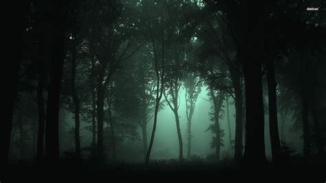 Night In Forest Wallpapers Wallpaper Cave