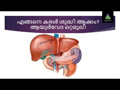 .p.o thrissur district 9539902502 видео dr. Kidney Cancer Symptoms Malayalam - kidausx