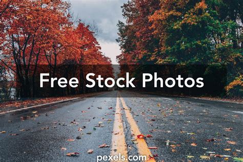 1000 Beautiful Free Background Photos Pexels · Free Stock Photos