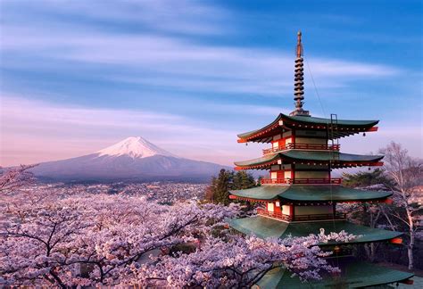 Japan Cherry Blossom Desktop Wallpapers Top Free Japan