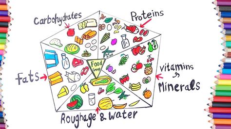 Kids easy healthy food plate drawing. HOW TO DRAW FOOD GROUP-FOOD GROUPS DRAWING - YouTube