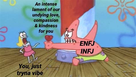 I Made A Meme Enfjs And Infjs Are Best Described As A Term I First Heard