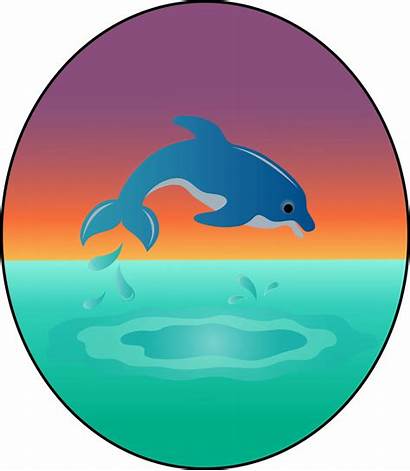 Ocean Dolphin Clip Clipart Sea Cartoon Floor