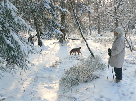 Free Images Nature Cold Woman Hiking Frost Dog Animal Walk