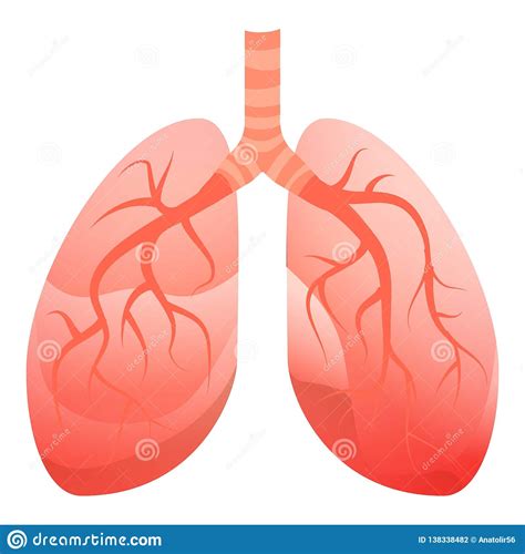 Human Lungs Icon Cartoon Style Stock Vector