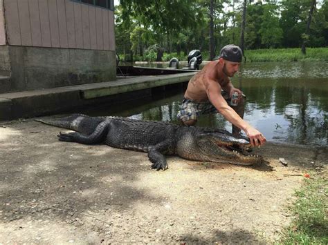 Alligator In Deadly Attack Shot And Killed Houston Chronicle