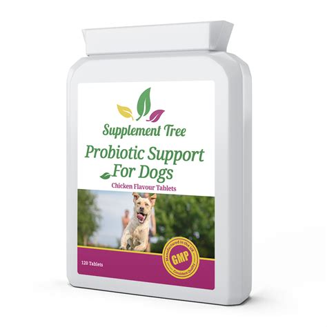 We did not find results for: Probiotic Support for Dogs 2 Billion cfu 120 Chicken ...