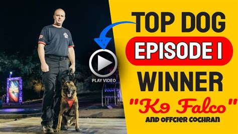 Americas Top Dog Episode 1 Winner Interview Youtube