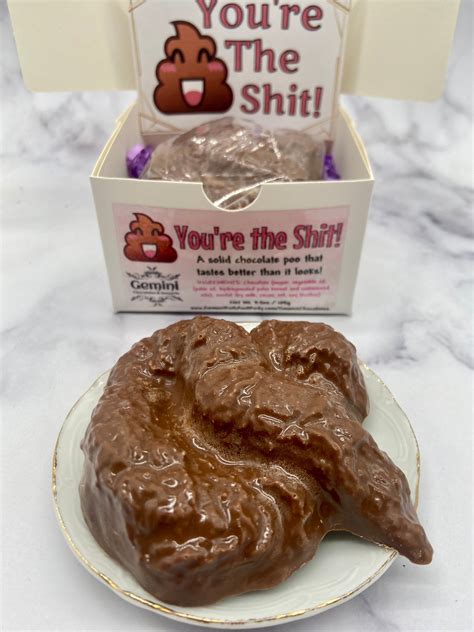 Chocolate Poop T Set Adult Gag Ts Youre The Shit Etsy