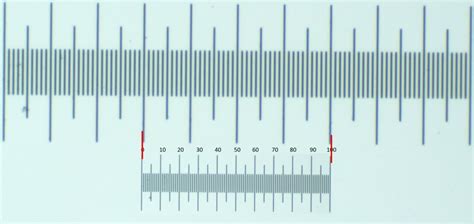 How To Measure The Size Of A Specimen Under The Microscope Microscope