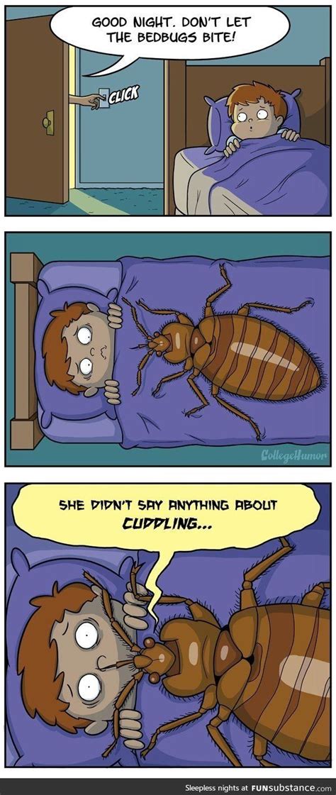 Bedbug Cuddles Pest Control Humor Bed Humor Funny Images Funny
