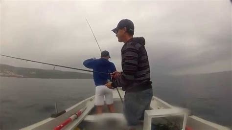 La Pesca De Jurel Xarda Y Caballas Desde Embarcación Youtube