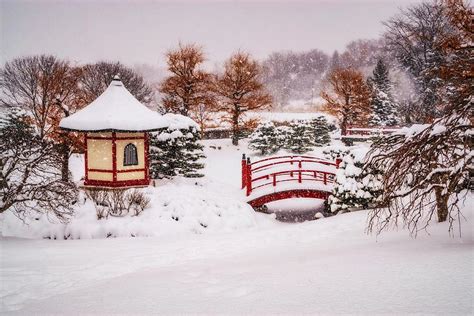 Snowy Japanese Gardens Photograph By Doug Wallick Pixels