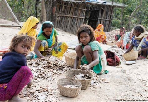 But life for them can still be hard. INDIA : CHILD LABOUR IN MICA PRODUCTS - Terre des Hommes