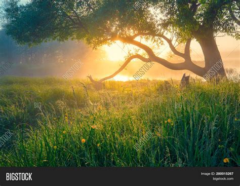 Spring Green Landscape Image And Photo Free Trial Bigstock