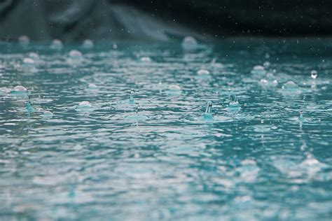 Drops Of Rain Splash And Free Photo Rawpixel