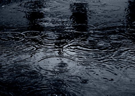 Filemoody Raindrops In Dark Blue Puddle 2387754376 Wikimedia