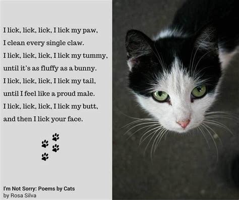 I Love My Cat Poem Cat Meme Stock Pictures And Photos