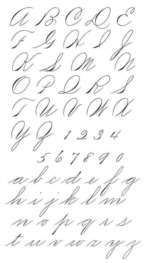 Baroque Calligraphy Styles Fancy Writing Hand Lettering Alphabet