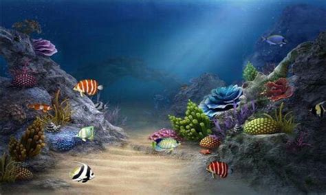 *free app and always will be. Free 3d HD Live Fish Wallpaper APK Download For Android ...