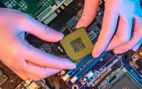 Engineer Die Handen Cpu Vasthoudt Om In De Socket Van Het Moederbord Te