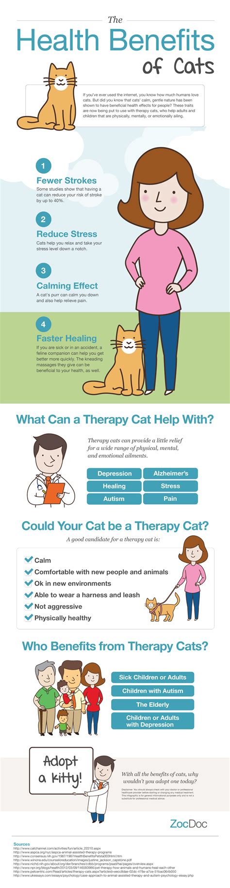 Health Benefits Of Cats The Zocdoc Blog Therapy Cat Cat Care Cat