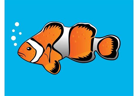 Clownfish Vector Download Free Vector Art Stock Graphics And Images
