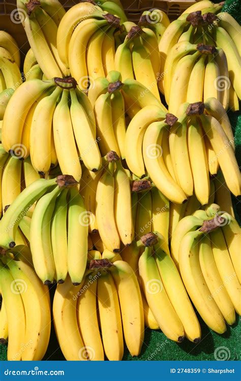 Lots Of Bunches Of Bananas Stock Image Image Of Skin Natural 2748359
