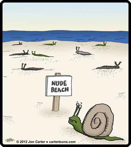 Nude At Beach Cartoons Telegraph
